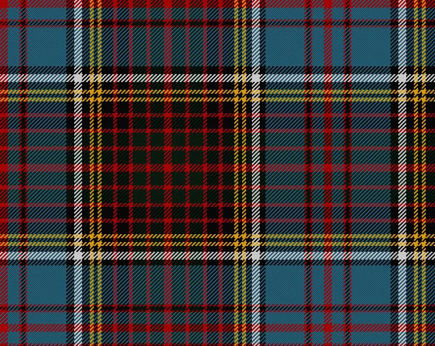 Anderson Modern Tartan Suspenders