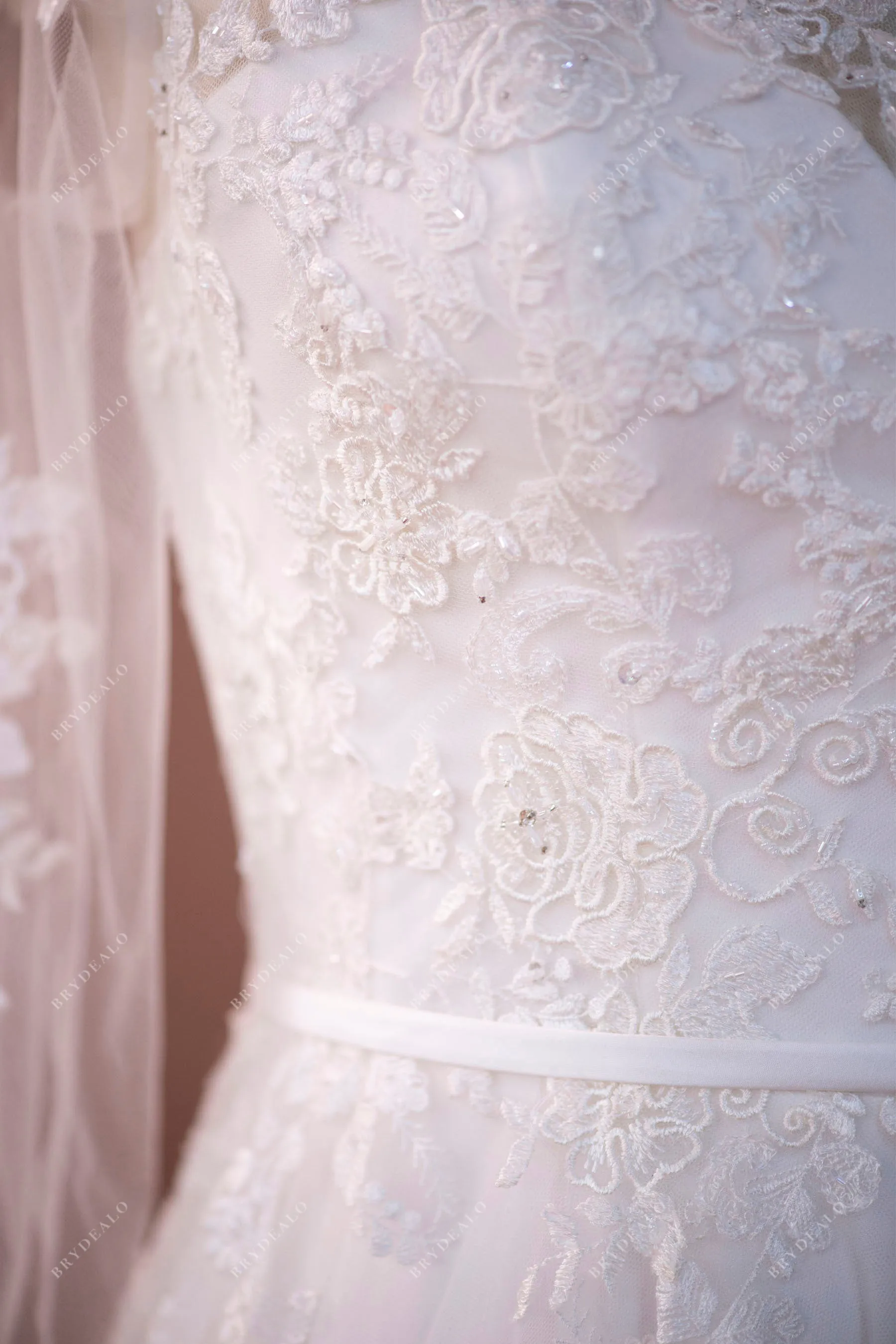 Designer Lace Plus Size Illusion Neck A-line Wedding Dress